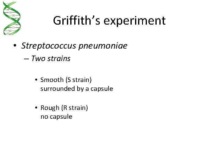 Griffith’s experiment • Streptococcus pneumoniae – Two strains • Smooth (S strain) surrounded by