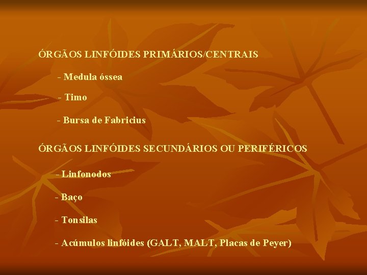 ÓRGÃOS LINFÓIDES PRIMÁRIOS/CENTRAIS - Medula óssea - Timo - Bursa de Fabricius ÓRGÃOS LINFÓIDES