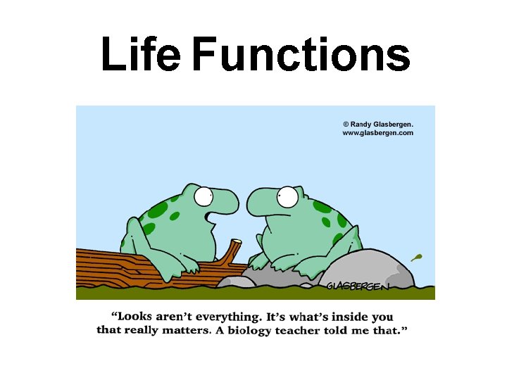 Life Functions 