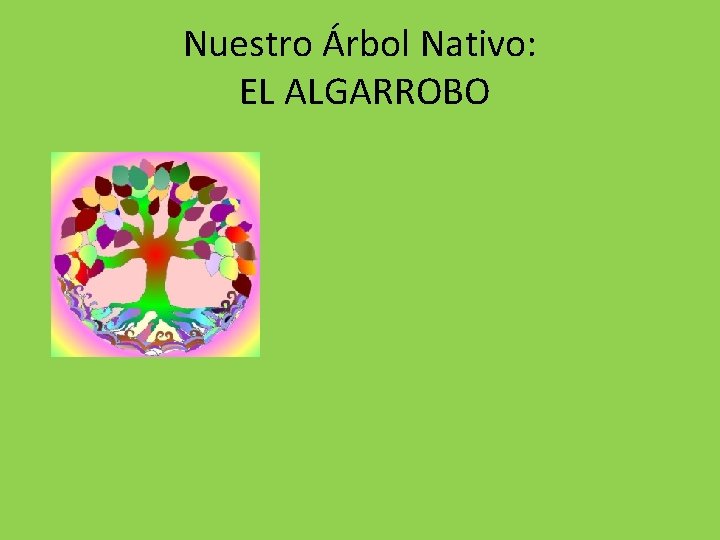 Nuestro Árbol Nativo: EL ALGARROBO 