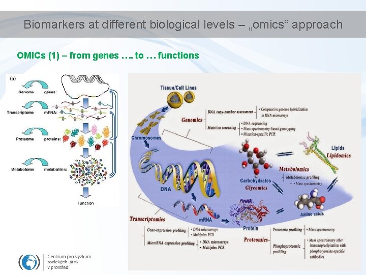 Biomarkers at different biological levels – „omics“ approach OMICs (1) – from genes ….