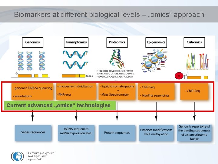 Biomarkers at different biological levels – „omics“ approach Current advanced „omics“ technologies 