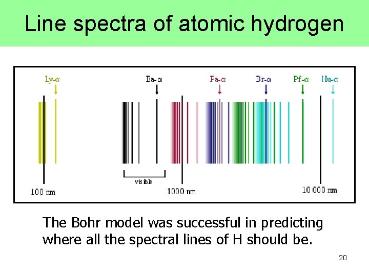 Line spectra of atomic hydrogen The Bohr model was successful in predicting where all