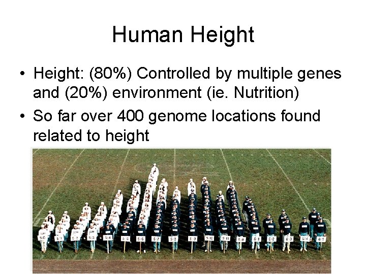 Human Height • Height: (80%) Controlled by multiple genes and (20%) environment (ie. Nutrition)