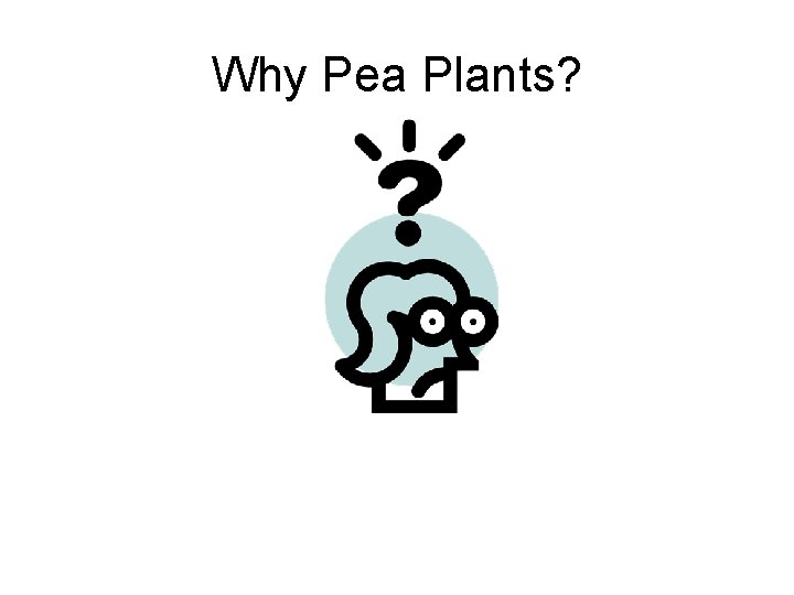 Why Pea Plants? 