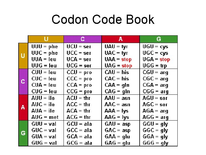 Codon Code Book 