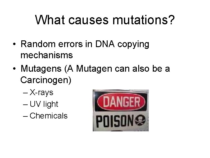 What causes mutations? • Random errors in DNA copying mechanisms • Mutagens (A Mutagen