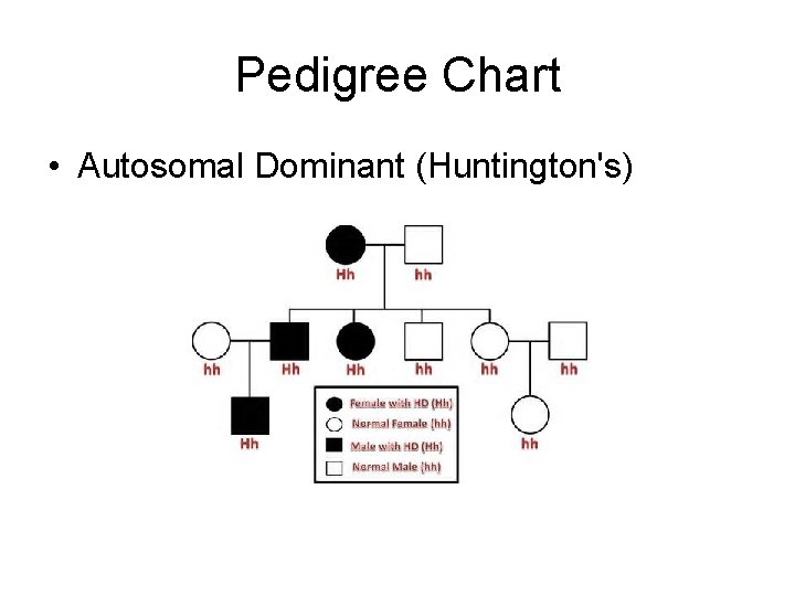 Pedigree Chart • Autosomal Dominant (Huntington's) 