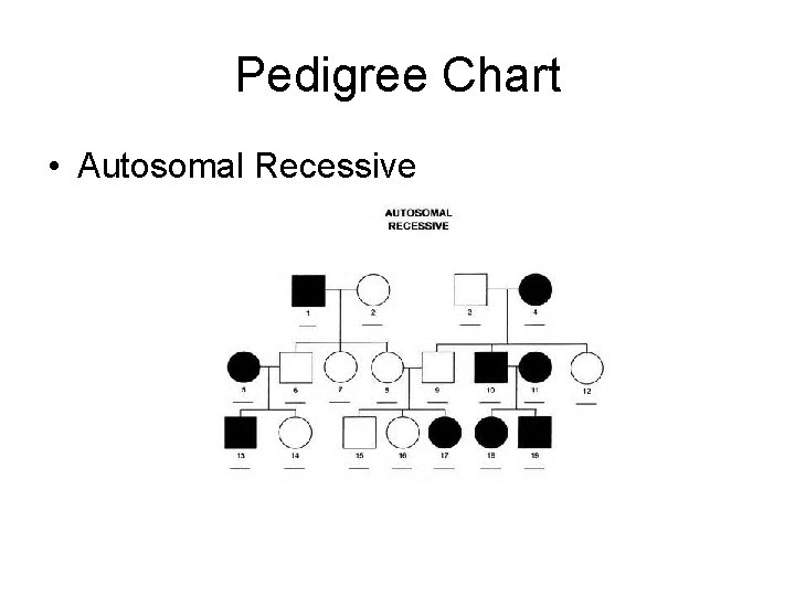 Pedigree Chart • Autosomal Recessive 