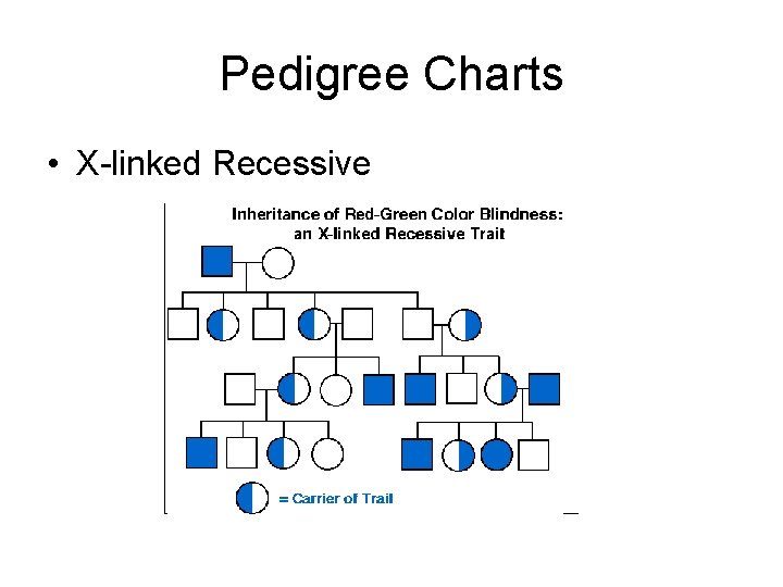 Pedigree Charts • X-linked Recessive 