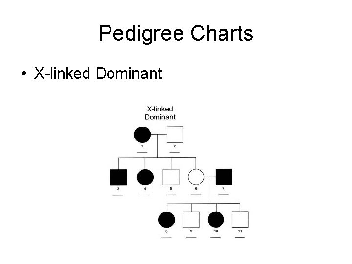 Pedigree Charts • X-linked Dominant 