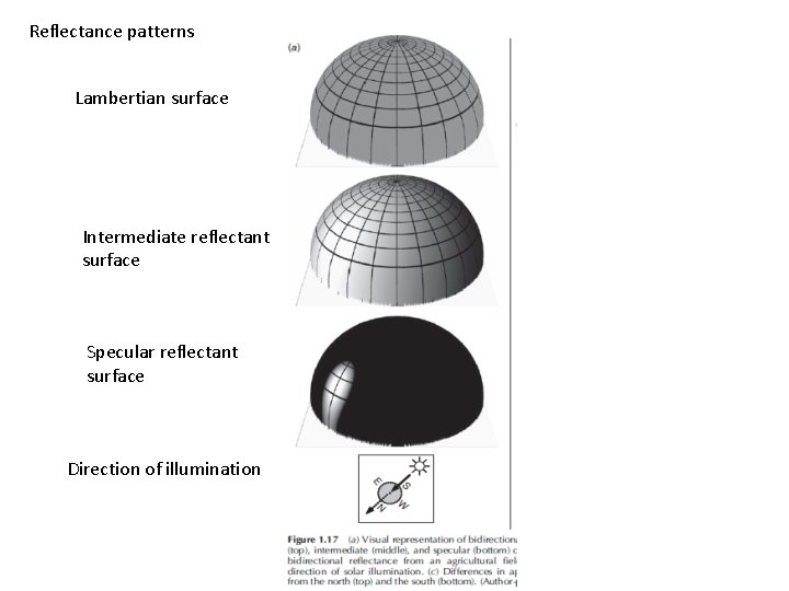 Reflectance patterns Lambertian surface Intermediate reflectant surface Specular reflectant surface Direction of illumination 