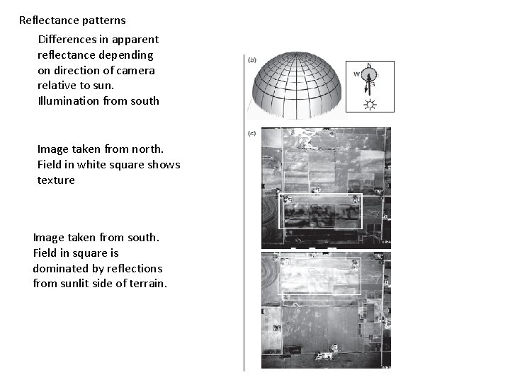 Reflectance patterns Differences in apparent reflectance depending on direction of camera relative to sun.