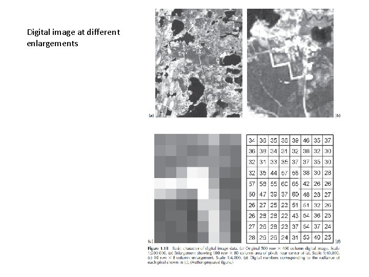 Digital image at different enlargements 