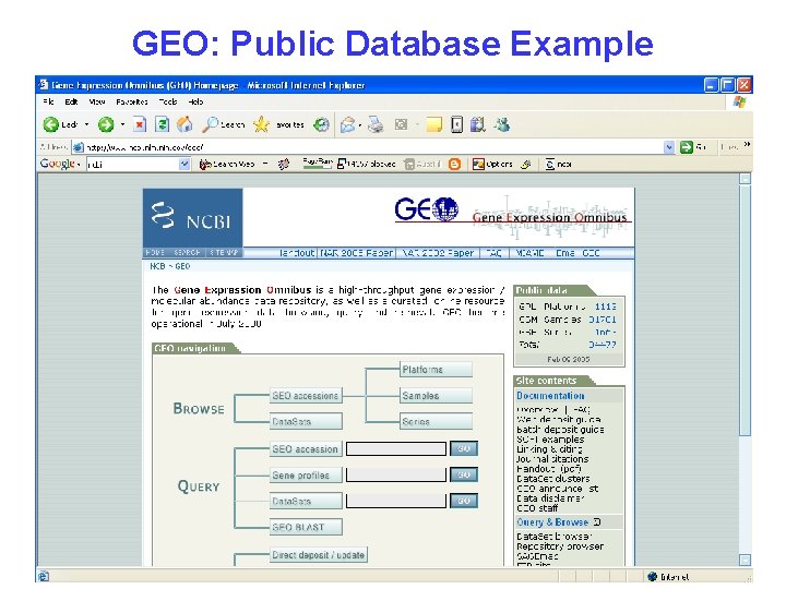 GEO: Public Database Example 