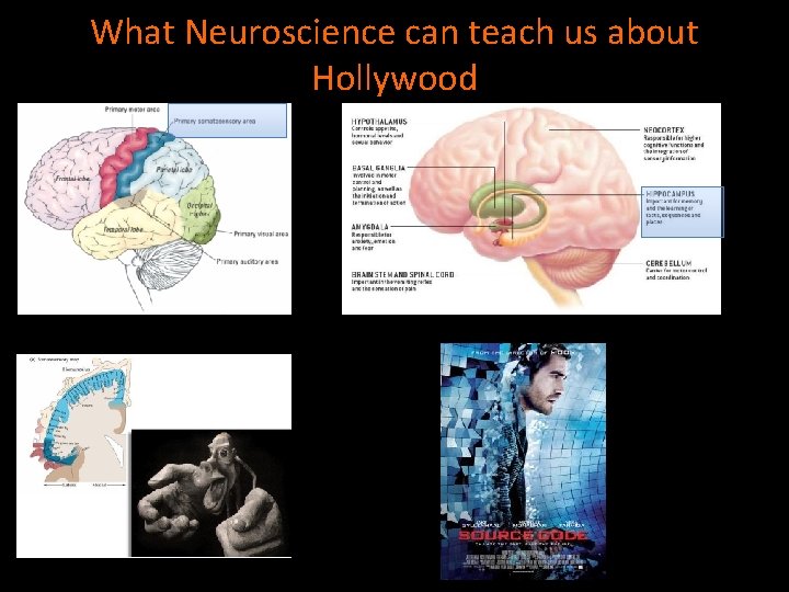 What Neuroscience can teach us about Hollywood 