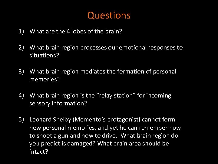 Questions 1) What are the 4 lobes of the brain? 2) What brain region