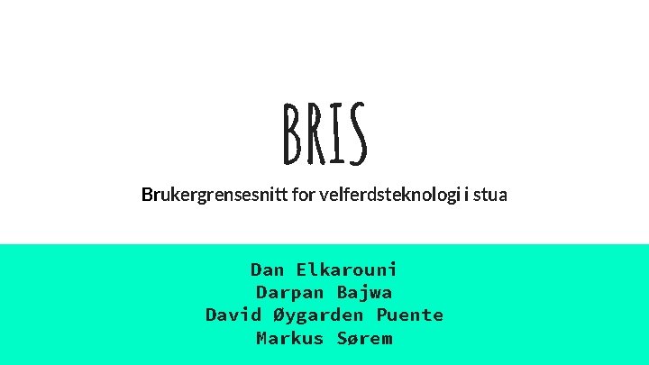 BRIS Brukergrensesnitt for velferdsteknologi i stua Dan Elkarouni Darpan Bajwa David Øygarden Puente Markus