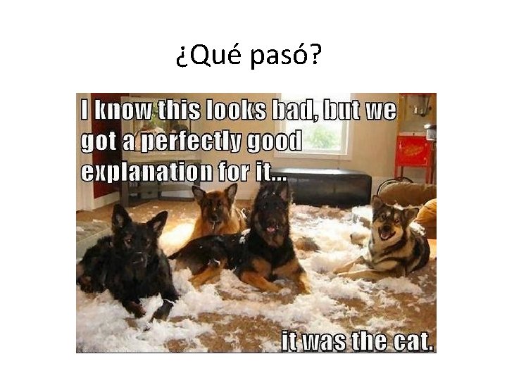 ¿Qué pasó? 