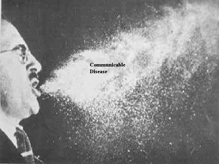 Communicable Disease 