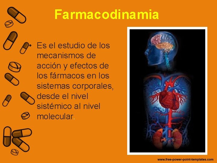 Farmacodinamia • Es el estudio de los mecanismos de acción y efectos de los