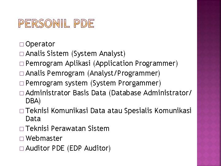 � Operator � Analis Sistem (System Analyst) � Pemrogram Aplikasi (Application Programmer) � Analis