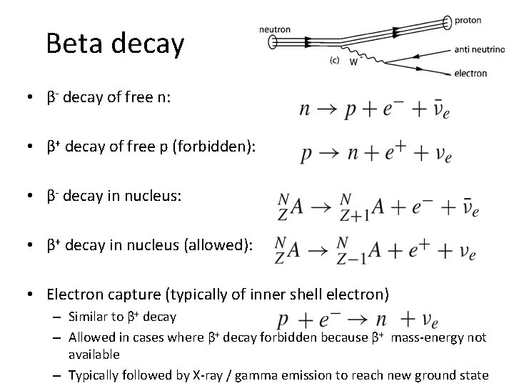 Beta decay • β- decay of free n: • β+ decay of free p