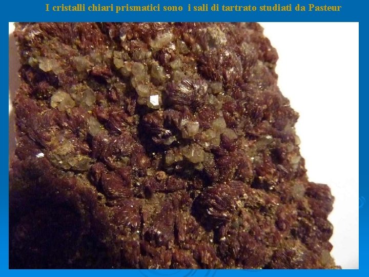 I cristalli chiari prismatici sono i sali di tartrato studiati da Pasteur I cristalli chiari prismatici sono i sali di tartrato studiati da Pasteur