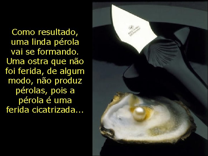 Como resultado, uma linda pérola vai se formando. Uma ostra que não foi ferida, Como resultado, uma linda pérola vai se formando. Uma ostra que não foi ferida,