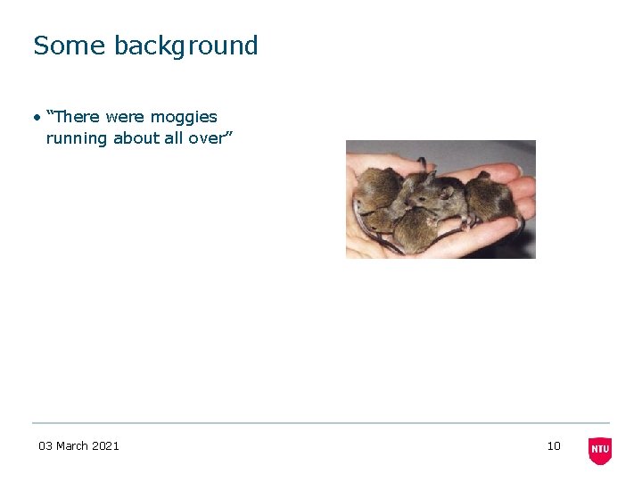 Some background • “There were moggies running about all over” 03 March 2021 10 Some background • “There were moggies running about all over” 03 March 2021 10