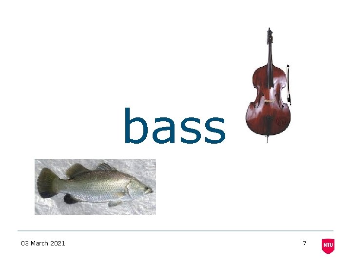 bass 03 March 2021 7 bass 03 March 2021 7