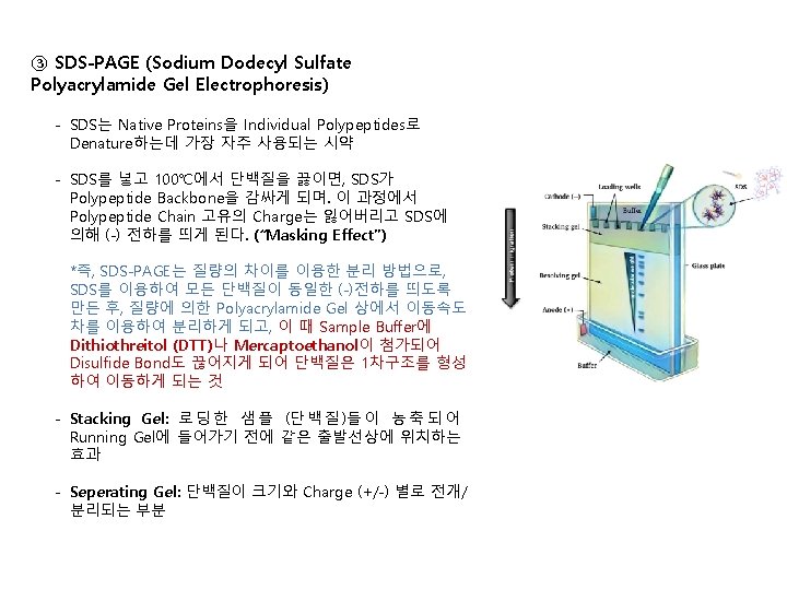 EasyBLUE Total RNA Extraction Kit 1 2 3