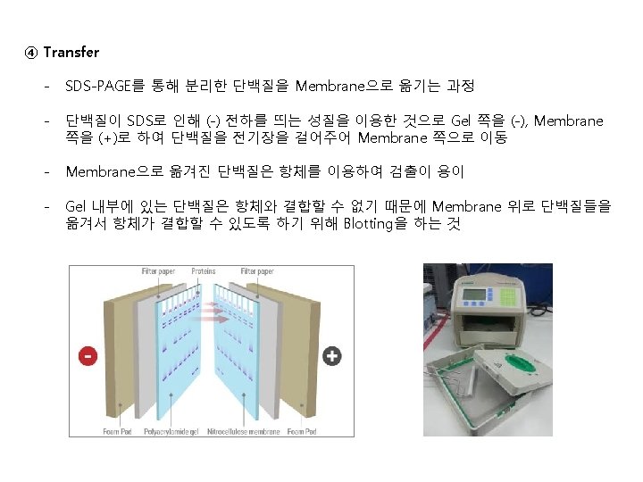 EasyBLUE Total RNA Extraction Kit 1 2 3