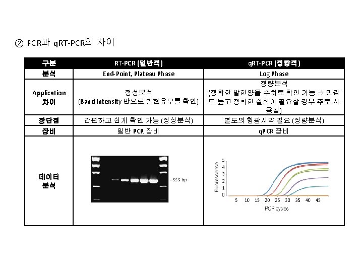 EasyBLUE Total RNA Extraction Kit 1 2 3
