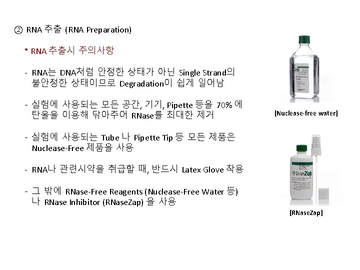 EasyBLUE Total RNA Extraction Kit 1 2 3