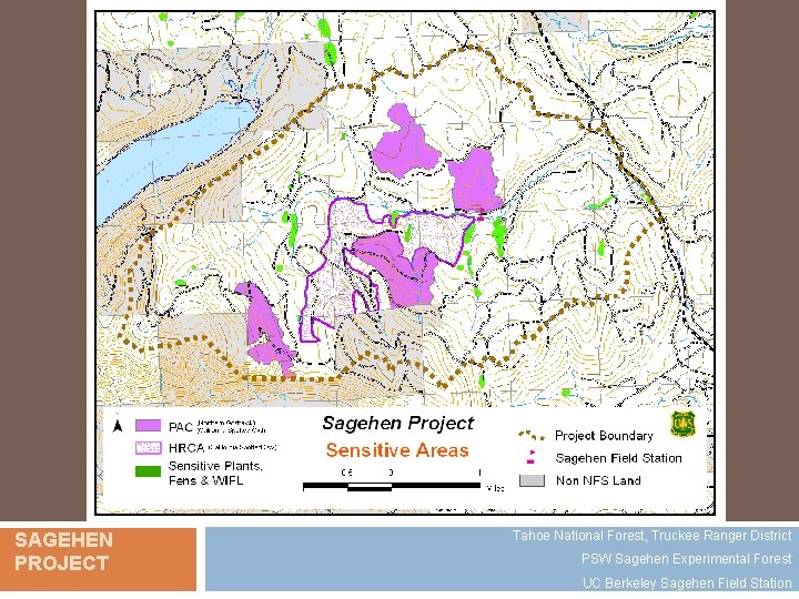 SAGEHEN PROJECT Tahoe National Forest, Truckee Ranger District PSW Sagehen Experimental Forest UC Berkeley