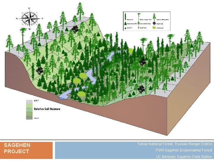 SAGEHEN PROJECT Tahoe National Forest, Truckee Ranger District PSW Sagehen Experimental Forest UC Berkeley