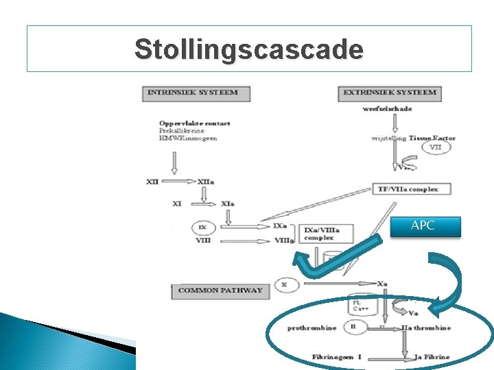 Stollingscascade APC Stollingscascade APC