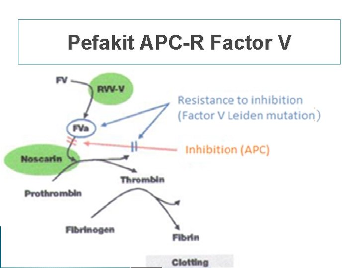Pefakit APC-R Factor V Pefakit APC-R Factor V