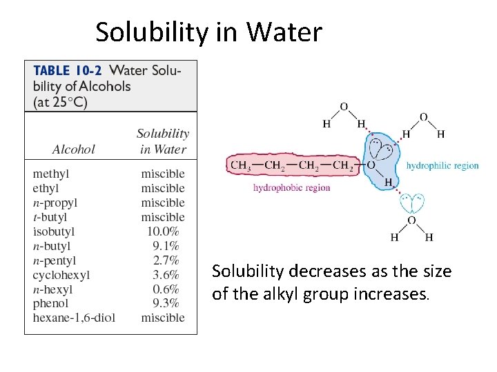 Solubility in Water Solubility decreases as the size of the alkyl group increases. 