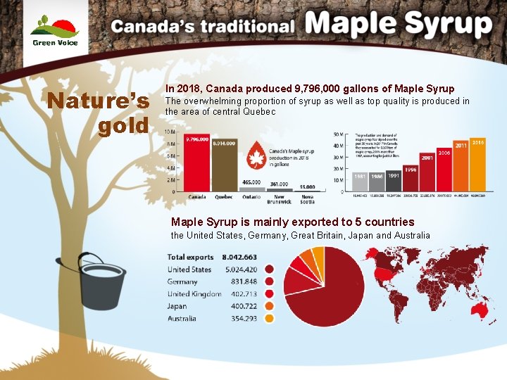 Nature’s gold In 2018, Canada produced 9, 796, 000 gallons of Maple Syrup The