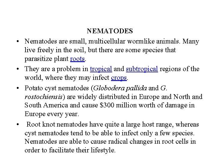  • • NEMATODES Nematodes are small, multicellular wormlike animals. Many live freely in