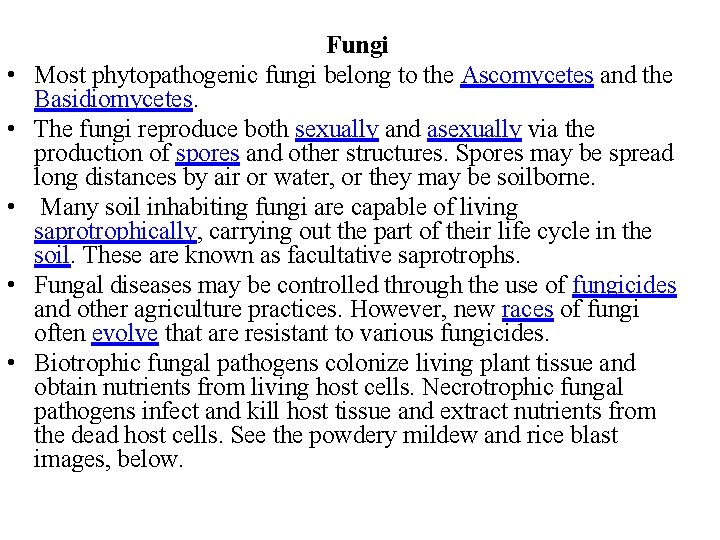  • • • Fungi Most phytopathogenic fungi belong to the Ascomycetes and the