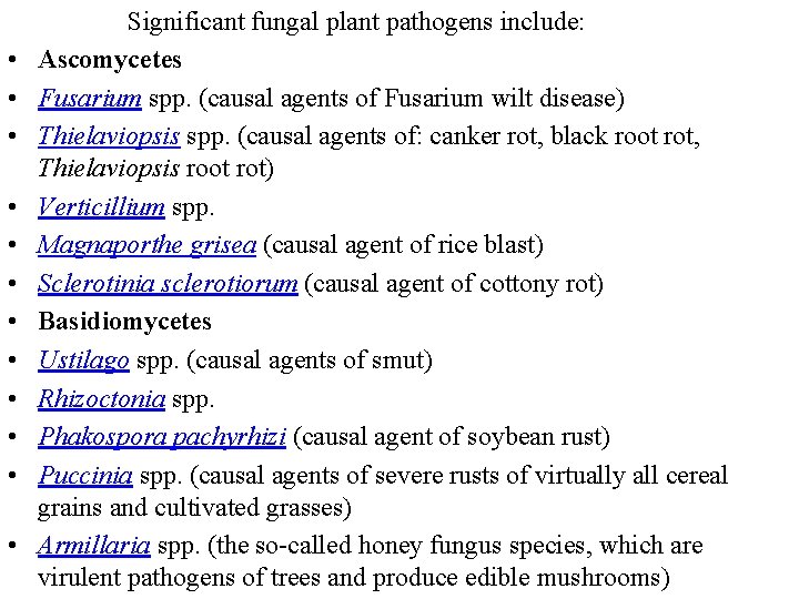  • • • Significant fungal plant pathogens include: Ascomycetes Fusarium spp. (causal agents