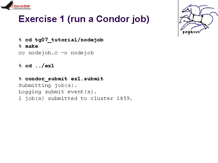 Exercise 1 (run a Condor job) % cd tg 07_tutorial/nodejob % make cc nodejob.