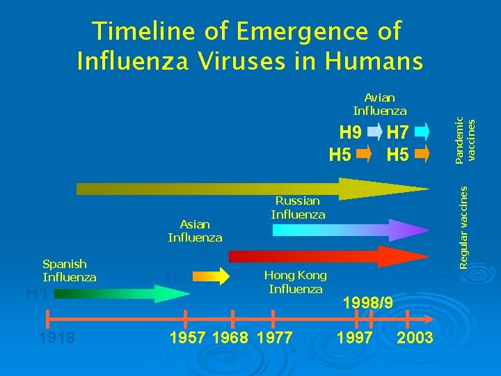 Avian Influenza B Asian Influenza Spanish Influenza H 1 1918 H 1 H 7