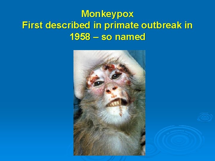 Monkeypox First described in primate outbreak in 1958 – so named 