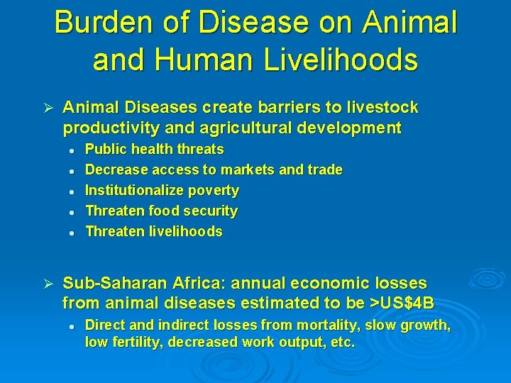 Burden of Disease on Animal and Human Livelihoods Ø Animal Diseases create barriers to