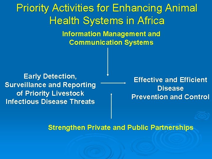 Priority Activities for Enhancing Animal Health Systems in Africa Information Management and Communication Systems