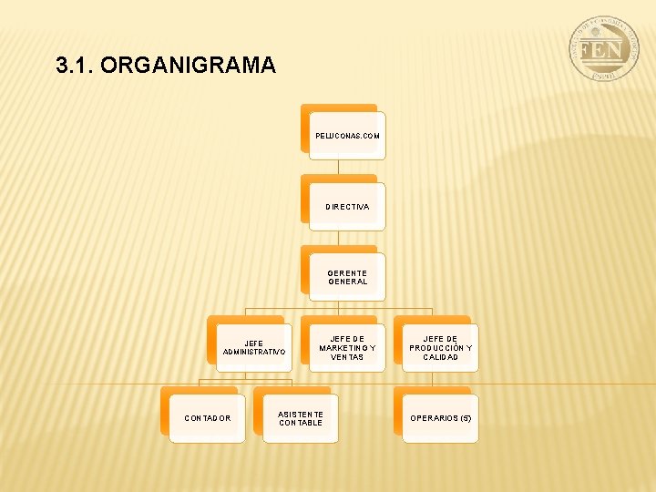 3. 1. ORGANIGRAMA PELUCONAS. COM DIRECTIVA GERENTE GENERAL JEFE ADMINISTRATIVO CONTADOR JEFE DE MARKETING